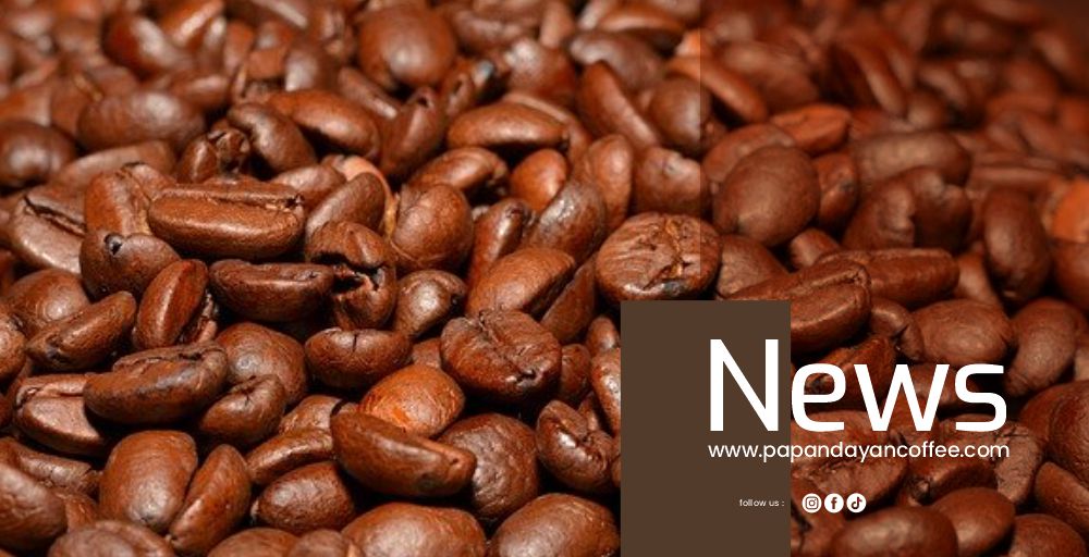 CV Papandayan News4